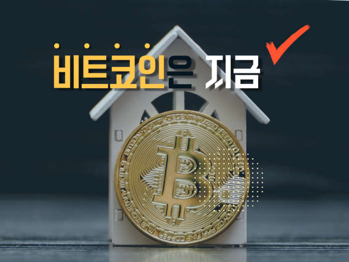 [비트코인은 지금] 8만1370달러 회복…거래량·검색 관심 동반 상승
