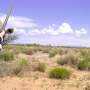 African antelopes spreading in New Mexico: How far could they go under climate change?