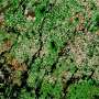 AI identifies Senegal's smallholder crops 84% of the time using limited training data