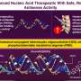 Cholesterol-linked drug boosts gene-targeting potency in early findings