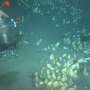 Deep-sea clams adjust bacterial partnerships to cope with dwindling chemical energy