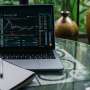 Digital finance research maps psychology, algorithms, and risk