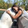 Finding homes for whales and dolphins when parks close isn't easy—sea sanctuaries aren't the answer