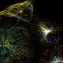 Fluorescence timing identifies eight proteins in one cell with a single staining step