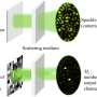 Giant fluctuations of focused light reveal hidden correlations in opaque materials