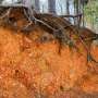 Global soil erosion outpaces natural recovery, report warns