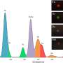 Glowing liquids could help protect products from counterfeiters using distinctive ultraviolet light signatures
