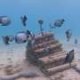 Healthy reef sounds can boost coral and fish recovery efforts