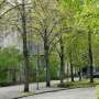 How cities can go greener in a warming climate