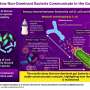 How E. coli eavesdrops on the metabolic activity of other gut bacteria
