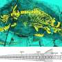 Jurassic fossil reveals ancient origins of how mammals drink milk