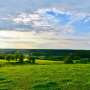 Losing plant diversity could reduce grassland CO₂ absorption 15% by 2050, model projects