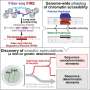 Machine learning analysis of gene regulation reveals new dimension of biological variability