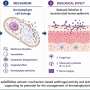 Mediterranean rockrose extract shows fungicidal activity against common skin infections