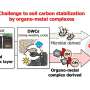 Metal-organic interactions identified as a key factor in carbon cycling, improving predictions under climate change