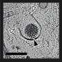 'Molecular movie' fills in blanks of how nonenveloped viruses infect cells