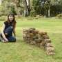 Natural-material bricks aim to give urban birds alternatives to nesting with trash
