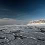 New algorithm could predict Arctic sea ice up to 9 months ahead, offering new climate insights