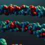 New formulation helps RNA vaccines withstand high temperatures
