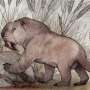 New saber-toothed predator from Argentina suggests its lineage survived longer than believed