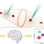 New sensing method expands label-free particle detection beyond sensor surfaces