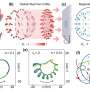 Optical skyrmions can control the motion of magnetic skyrmions