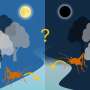 Parasites that steer nocturnal hosts into water do not rely on lunar cycles, study finds