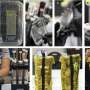 Plants shift gene activity within minutes of entering spaceflight, experiment reveals