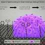 Plasma treatment helps reveal how molecular coatings dope silicon