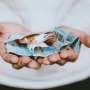 Poverty in the EU declined in the last decade, but disparities persist among nations