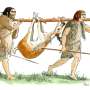 Rare traces of wooden tools reveal Neanderthals were skilled woodworkers