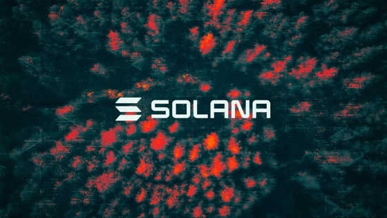 Solana treasury firm SkyAI keeps board after shareholder protest, loses equity plan vote