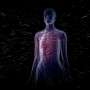 Space radiation sparks: A biological cascade of cancer