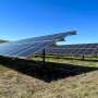 Studies map microclimates beneath solar panels to help native vegetation thrive in the shadow of renewable energy