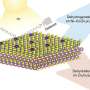 Sunlight gives biodiesel byproduct a second life as hydrogen and valuable chemicals