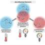 Two-color glowing molecule could make wind tunnel tests more accurate