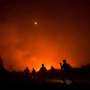 Walking through flames: Orangutans rescued in Indonesia fires