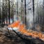 What is helping some Florida wildfires burn hotter, spread faster?