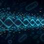 When microbial DNA is scarce, new profiling method helps separate genuine signals from contamination