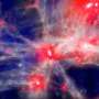 Where are the best places for life in the cosmos? A universe in a supercomputer yields an answer