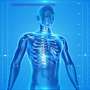 Where do nanoparticles go once they enter the body? Scientist helps shape new guidance