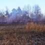 Wild bobwhite quail spotted after habitat restoration project