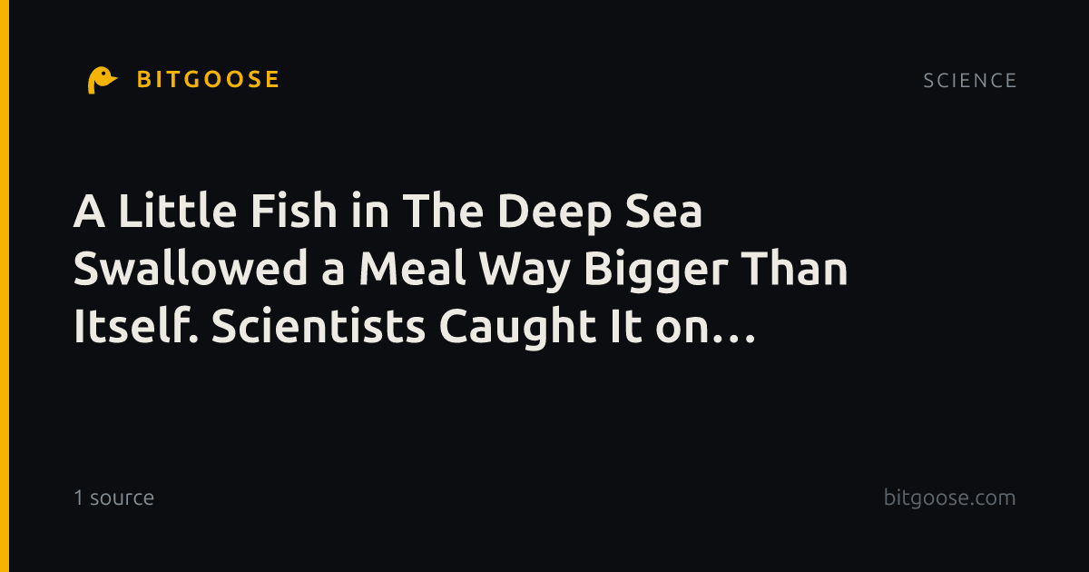 A Little Fish in The Deep Sea Swallowed a Meal Way Bigger Than Itself. Scientists Caught It on Camera.