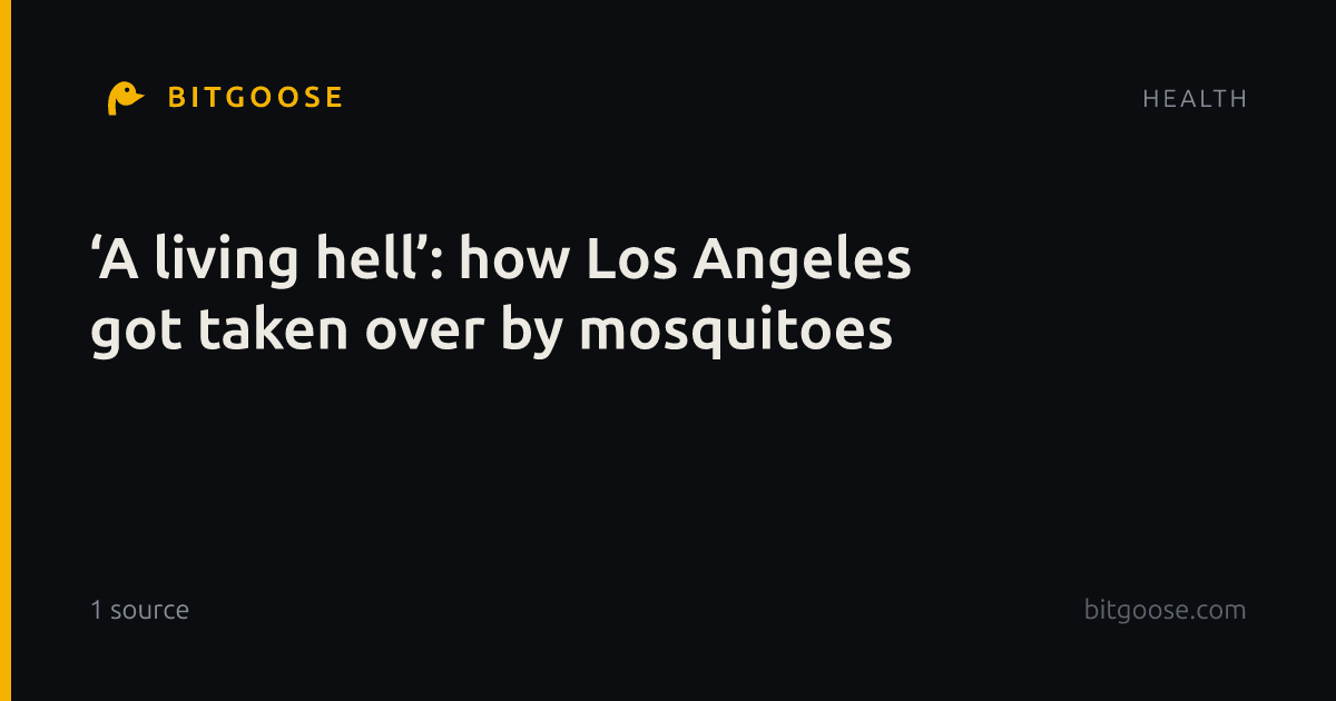 ‘A living hell’: how Los Angeles got taken over by mosquitoes