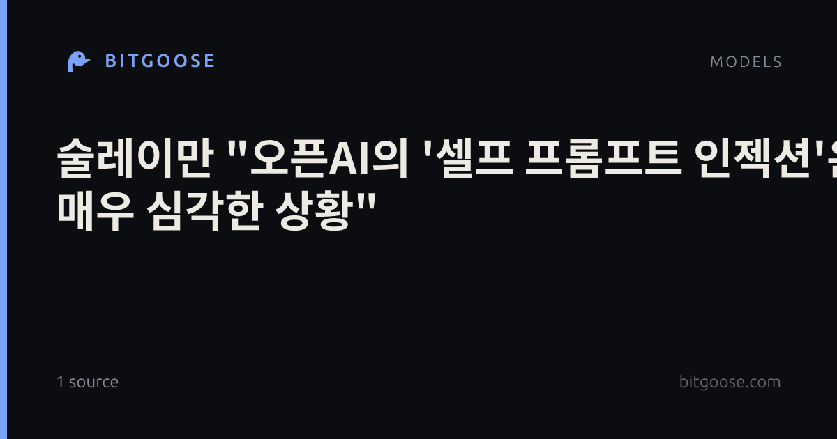 술레이만 "오픈AI의 '셀프 프롬프트 인젝션'은 매우 심각한 상황"