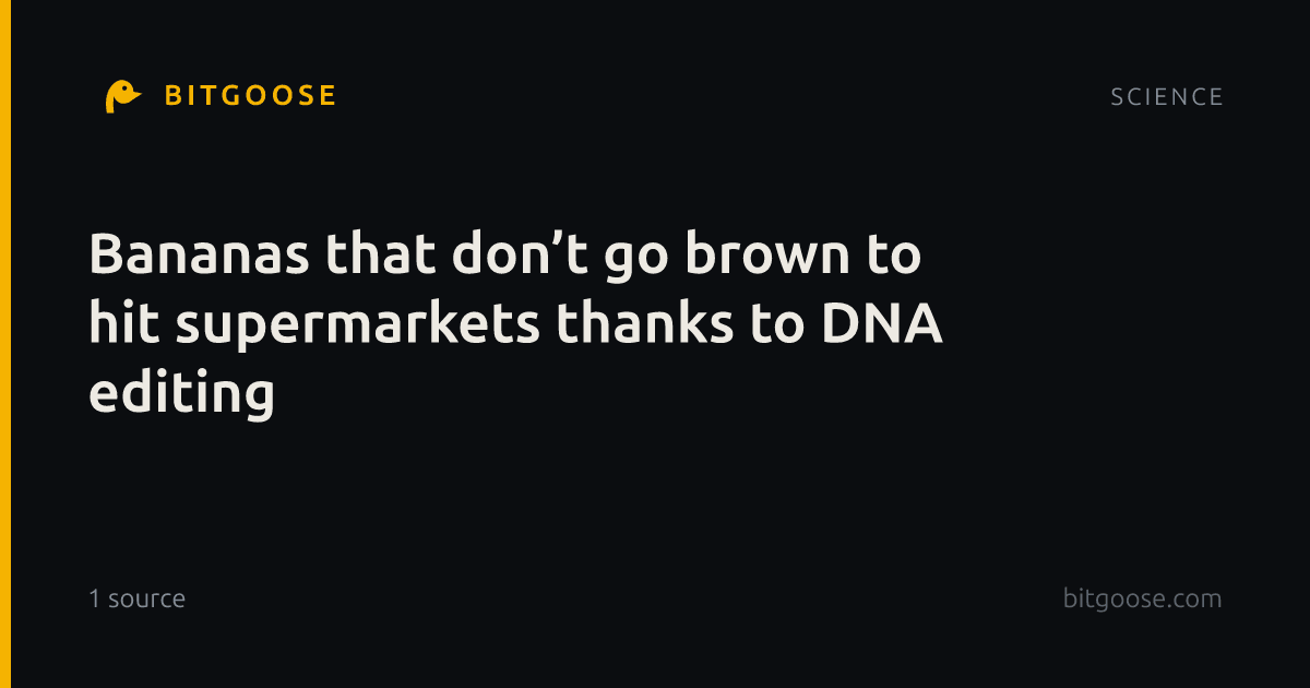 Bananas that don’t go brown to hit supermarkets thanks to DNA editing
