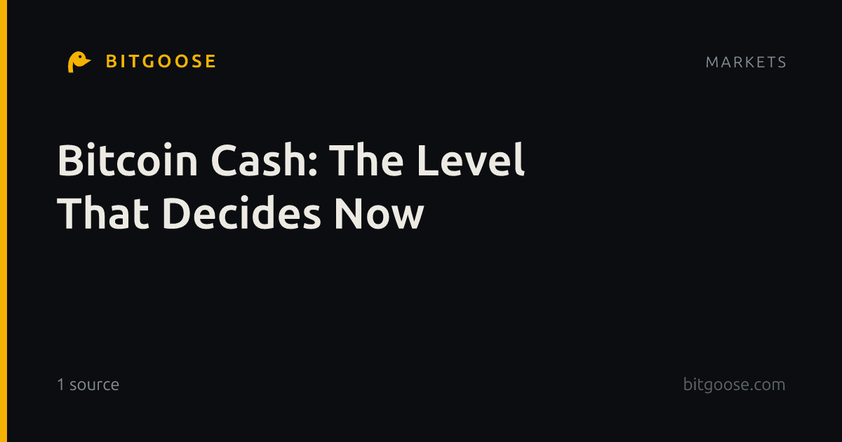 Bitcoin Cash: The Level That Decides Now