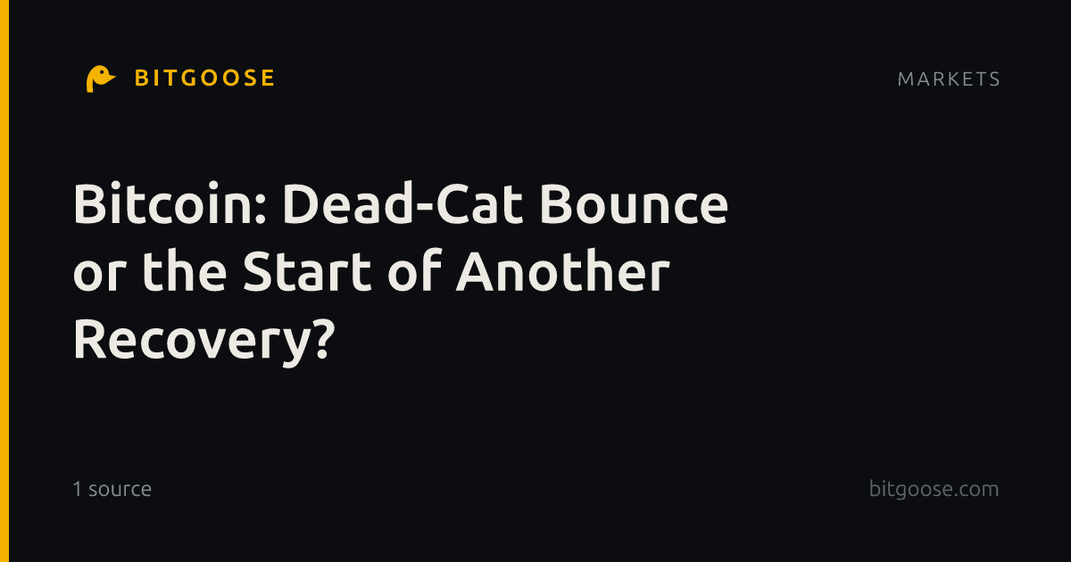 Bitcoin: Dead-Cat Bounce or the Start of Another Recovery?