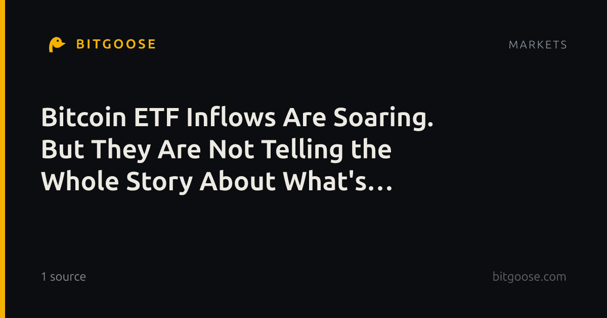 Bitcoin ETF Inflows Are Soaring. But They Are Not Telling the Whole Story About What's Happening With Bitcoin.