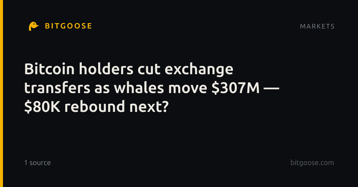Bitcoin holders cut exchange transfers as whales move $307M — $80K rebound next?